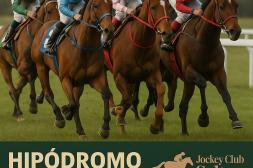 Turf: El Hipódromo de Salto convoca con ocho carreras, destaca la Polla de Potrillos