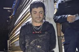 La extradición del narco prófugo Carlos  Araujo demandará al menos unos 45 días