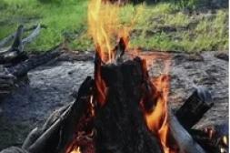 Látidos: Fogones en la costa, No los convocaron y más...