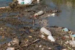 Látidos: Nos devuelve, Cada vez menos y más...