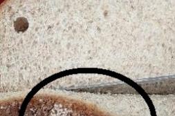 Látidos: Pan con hongos, Barrenderos, Caso omiso y más...