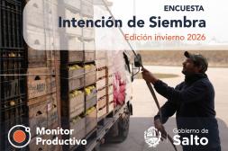 Gobierno de Salto presentó los resultados de la Encuesta de Intención de Siembra para conocer y anticipar tendencias del sector hortícola
