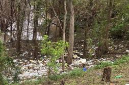 Latidos: Basura acumulada, Testigos vivientes y más...