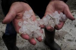 Más de 100 llamados al CECOED tras la tormenta de lluvia y granizo que azotó a Salto: casas afectadas y daños en cultivos
