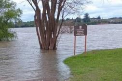 Río Uruguay mantendrá  estabilidad con una cota  máxima de 7,70 metros 