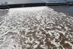 Río Uruguay mantendrá  cota de 7,70 metros pese  a las lluvias en la cuenca