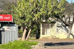 Latidos: Se oponen a tala, Se detuvo a tiempo y más...
