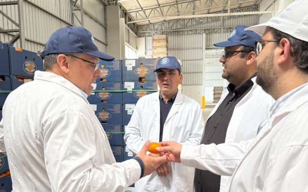 Comitiva de la Junta Departamental  recorrió instalaciones de planta citrícola 