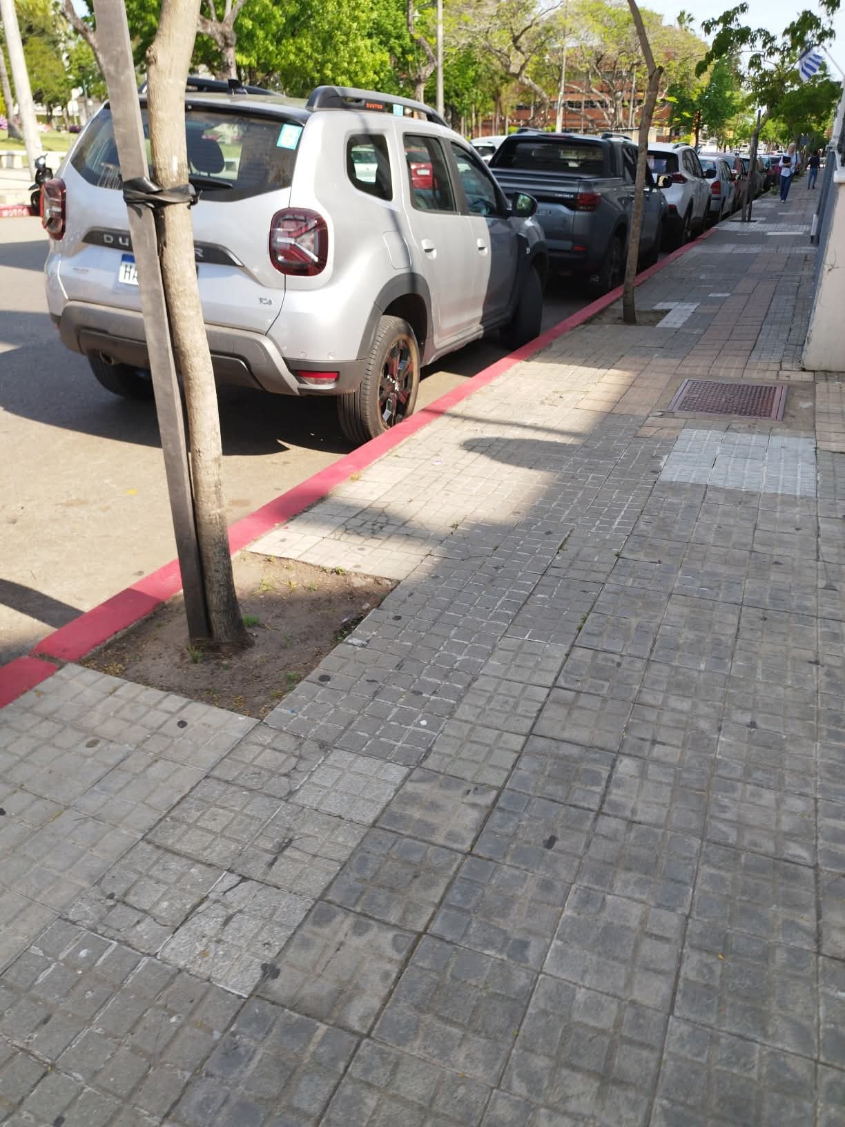 Latidos: En infracción y más...