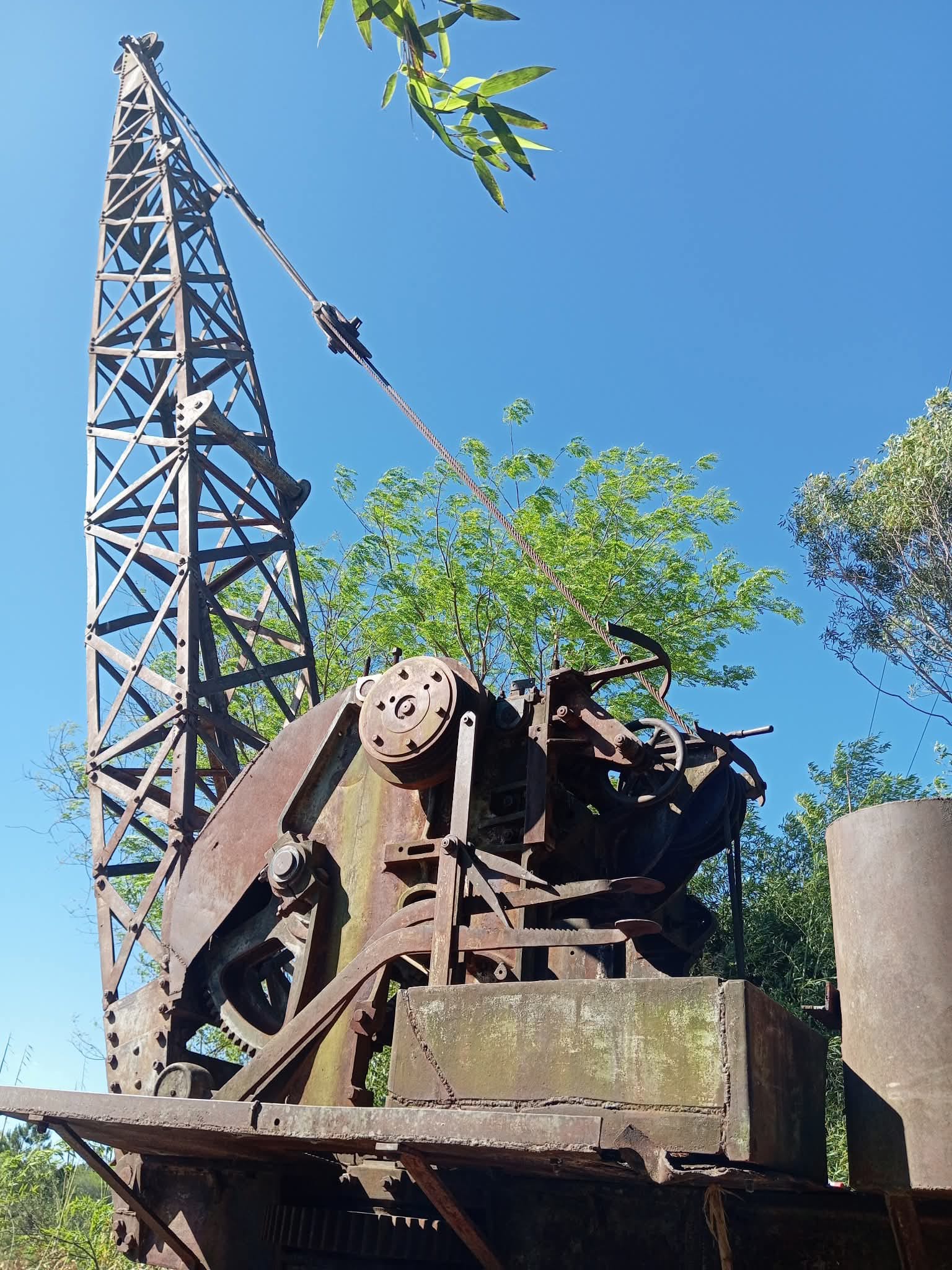 Latidos: Un trozo de vida y más...