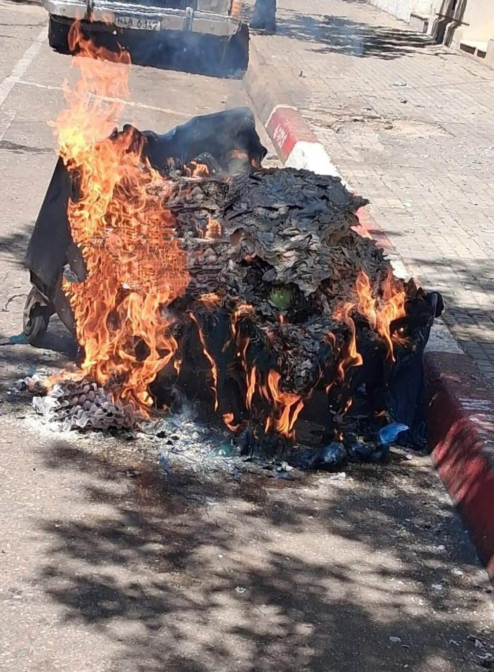 Látidos: Vandalismo y más...