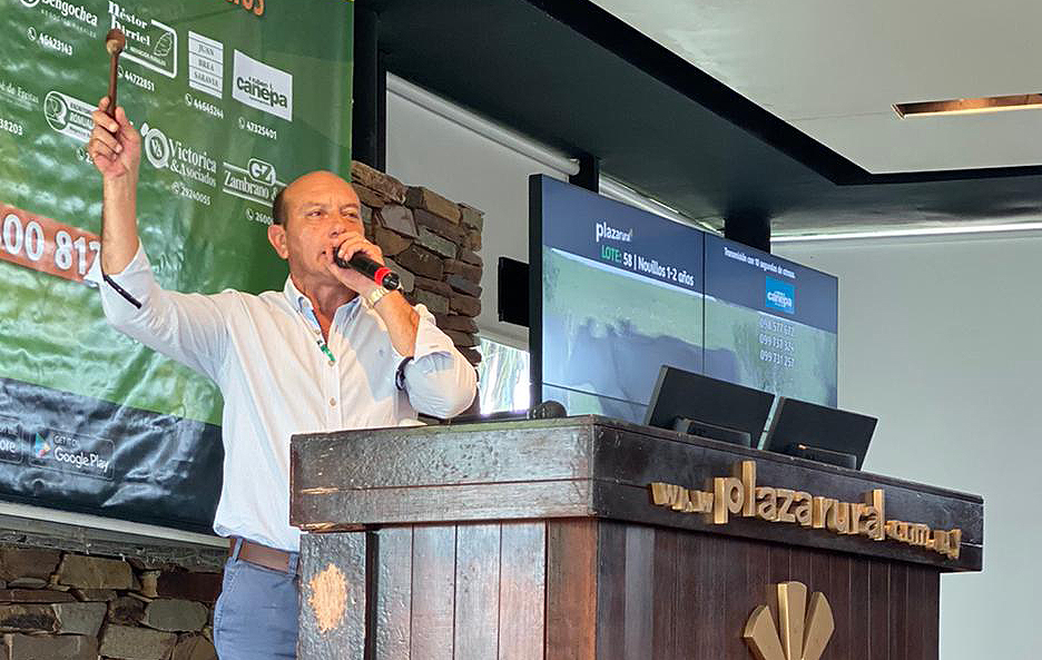 Francisco Cánepa: “Es un momento ideal para producir, no hay que dejar ni una vaquillona sin entorar"