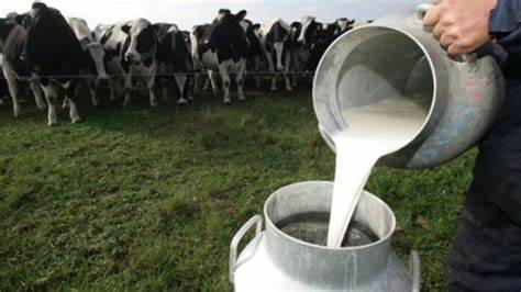 El precio de la leche alcanzó su mayor nivel en dos años