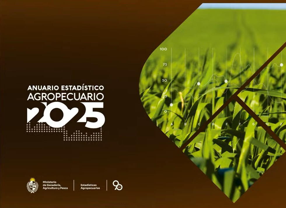 El agro creció 18% en 2024 y alcanzó récords históricos en maíz y soja