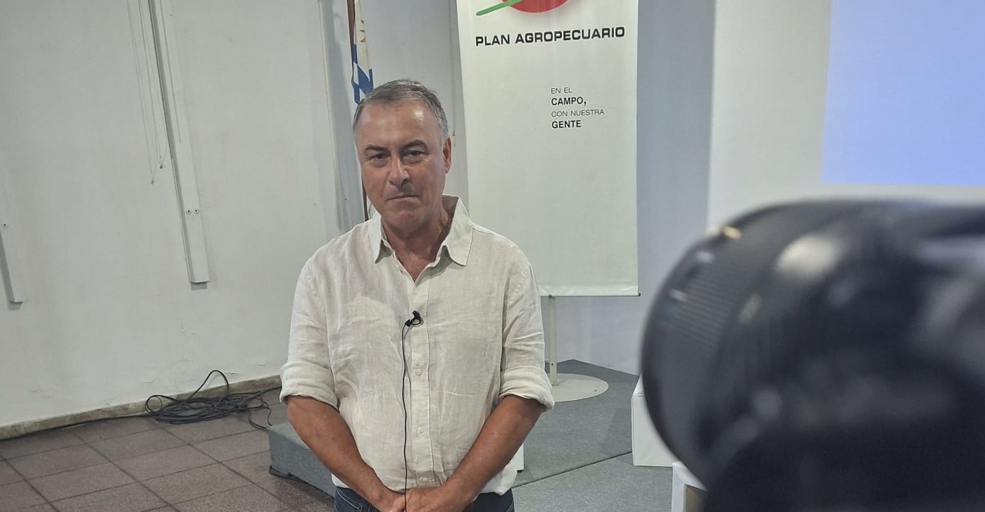 Las relaciones de precios mejoraron en 24-25 favoreciendo la rentabilidad en la ganadería