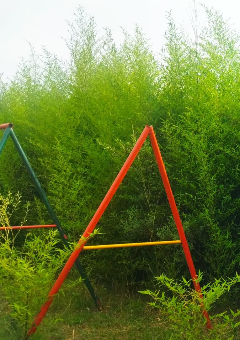 Látidos: Inadmisible, paradas y más...