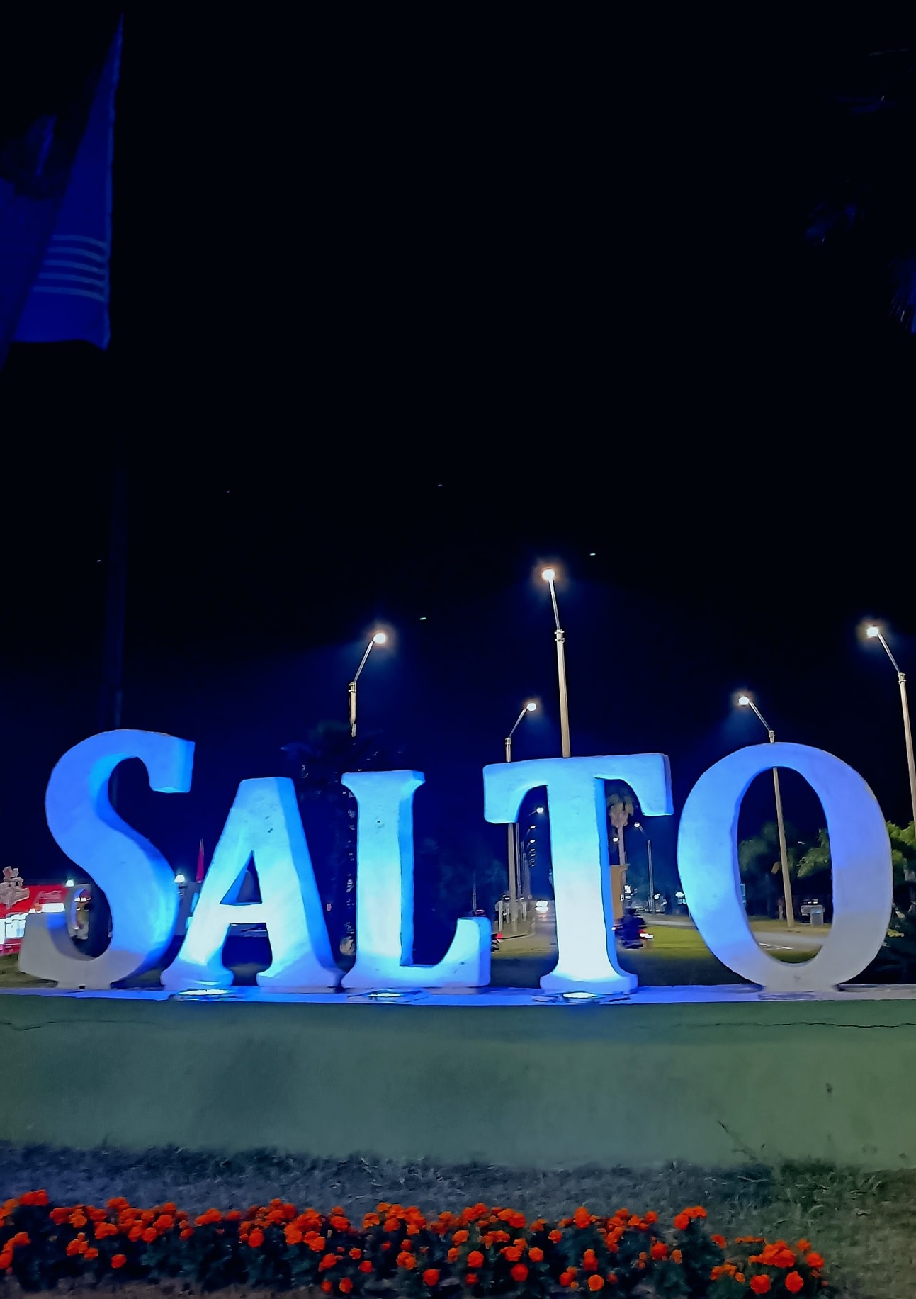 Latidos: Noviembre Azul, Asistente Virtual y más...