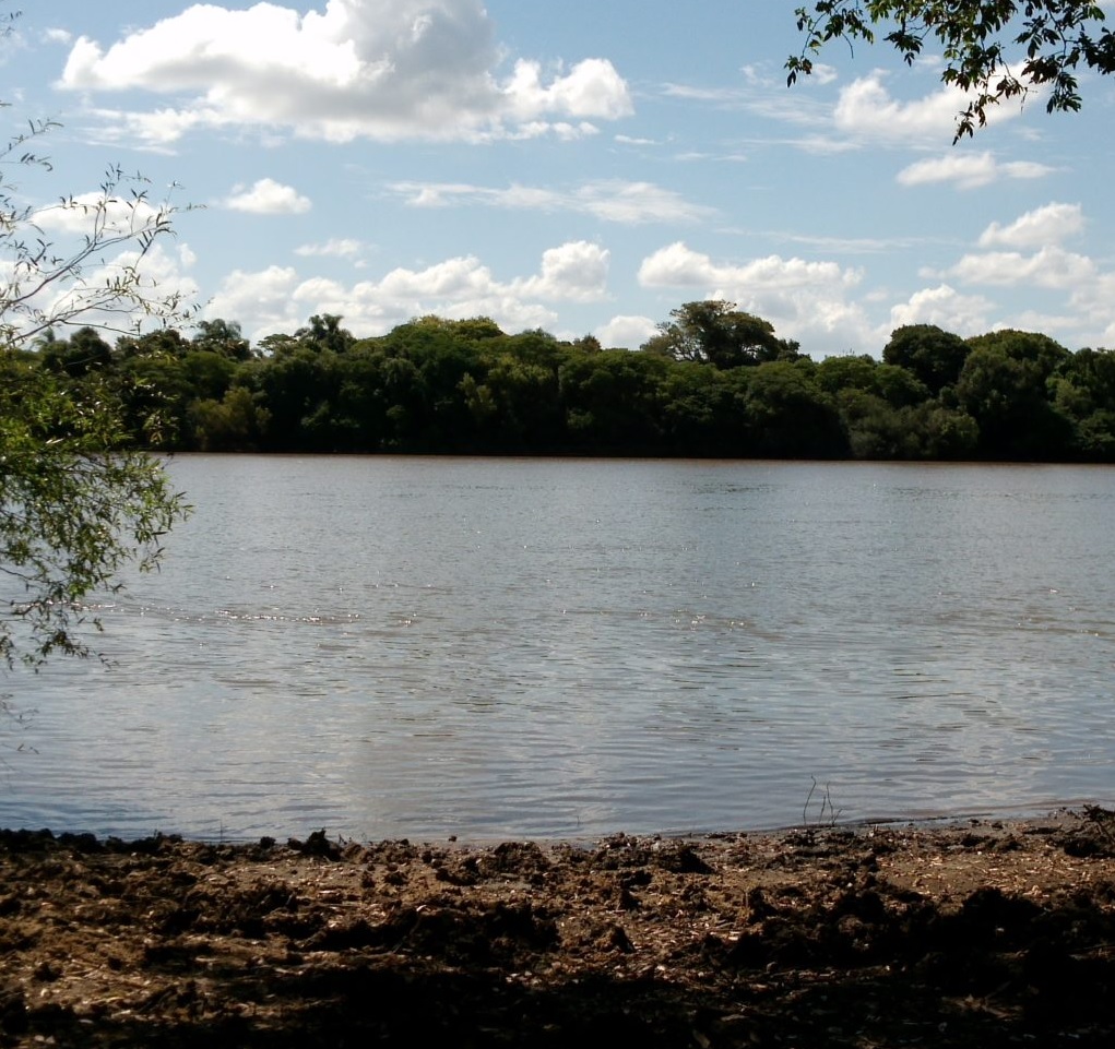 Aumentan ambas cotas de  referencia en puerto local