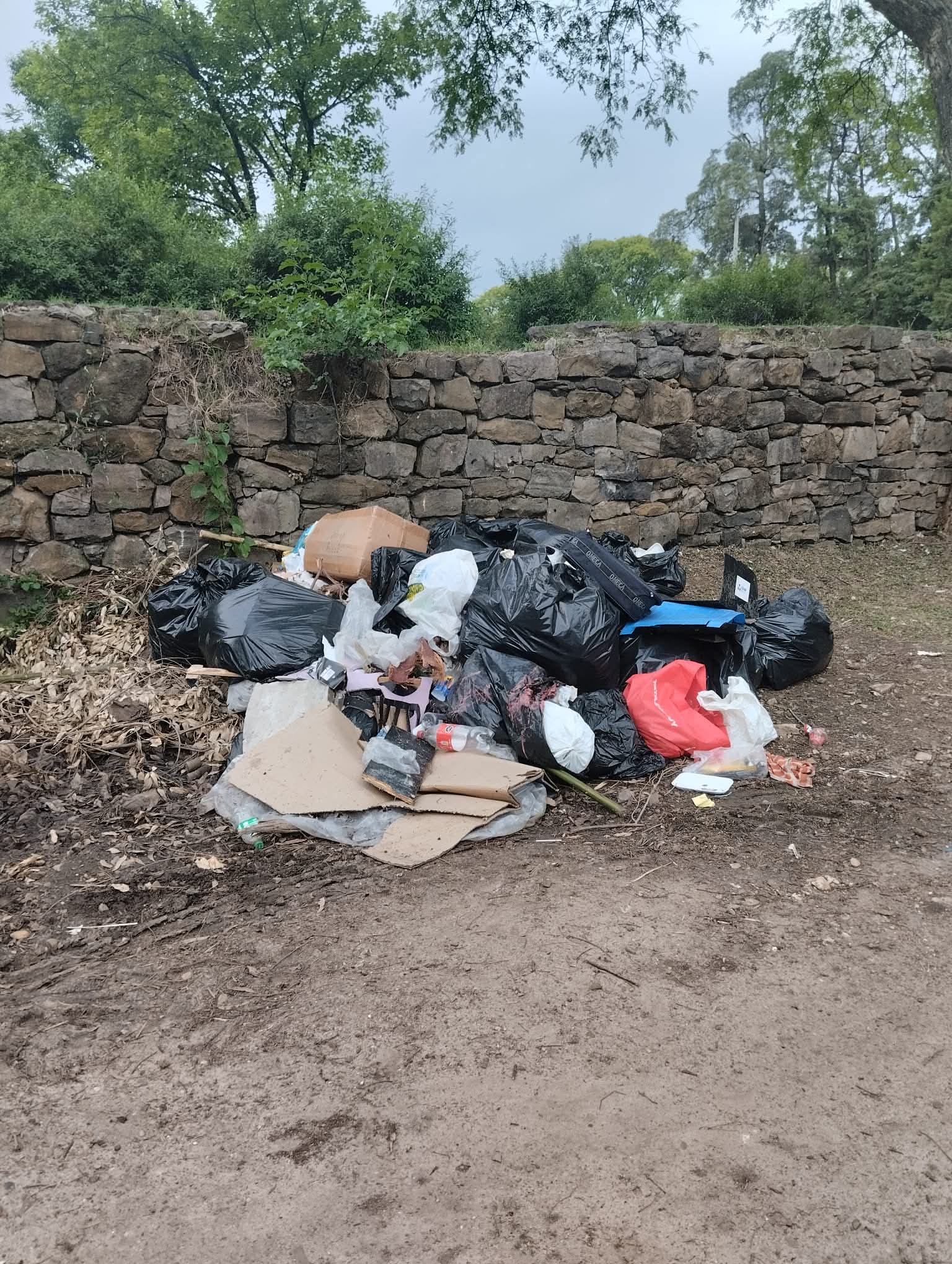 Látidos: Un disparate, rodo de contenedor y más...