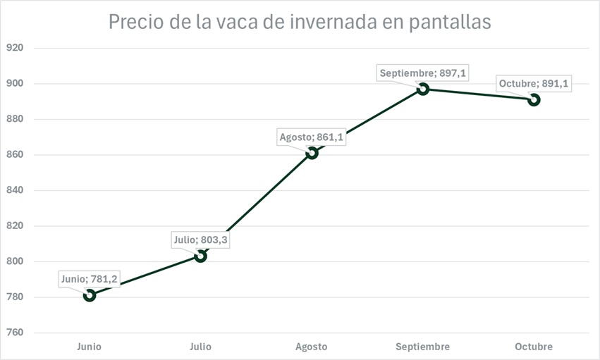 La vaca de invernar al kilo, ajustó 5,5% en octubre 