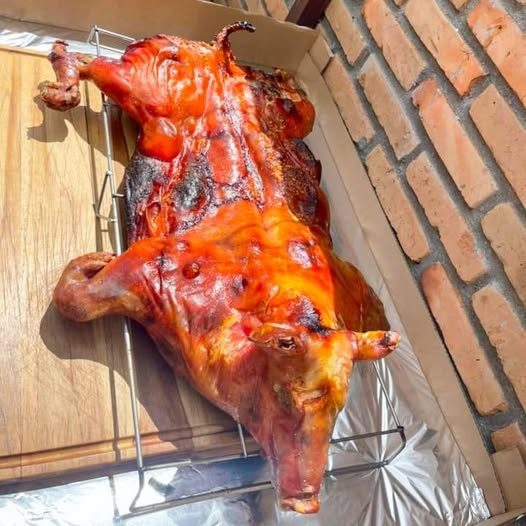 Látidos: Venta en redes, en recuperación y más...