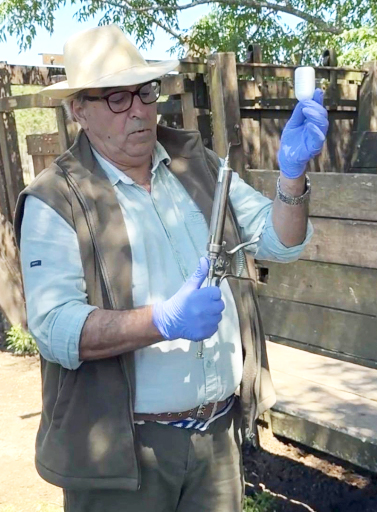 Uruguay inició su mayor prueba a campo para combatir la garrapata bovina