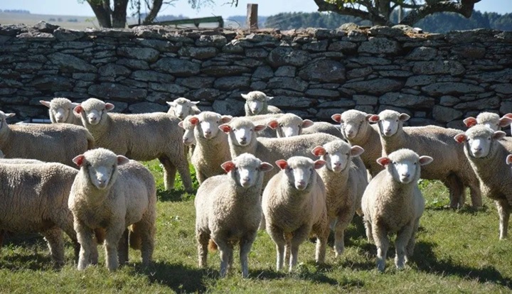 Gira Ile de France en Tacuarembó