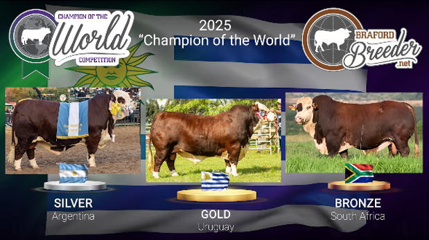 Uruguay obtuvo el "Champions of the world" de la raza Braford