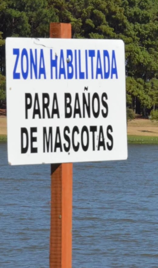 Latidos: Con perros no, no es de ahora y más...