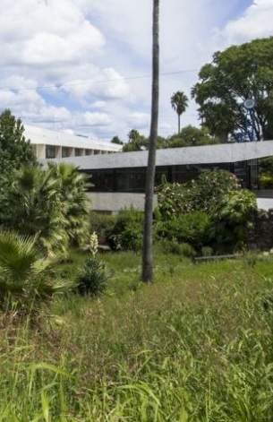 Látidos: Entre la maleza, zonas oscuras y más...