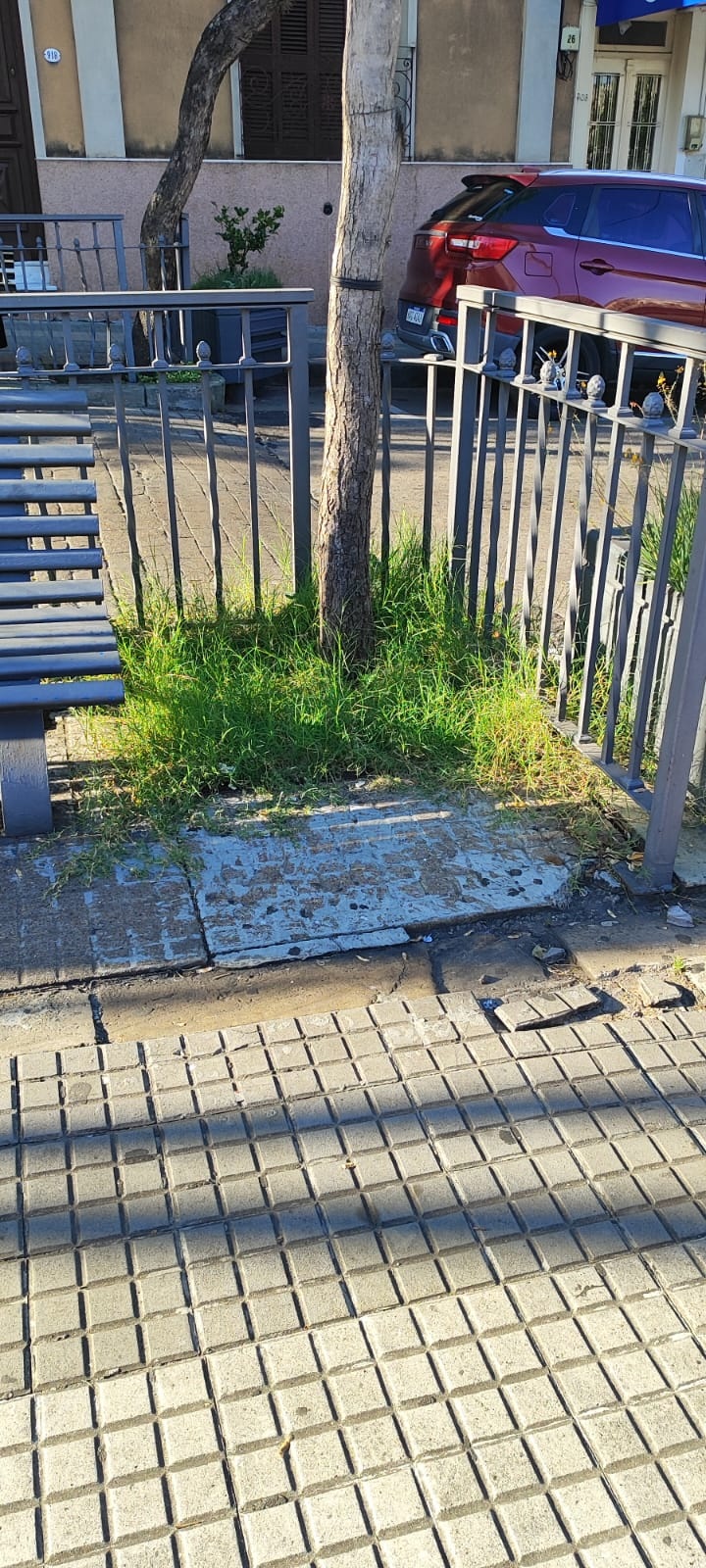 Latidos: Microcentro entre malezas,promesas incumplidas y más...