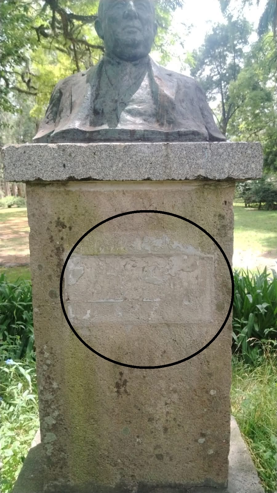 Látidos: No de nuevo, mosquitos y más...