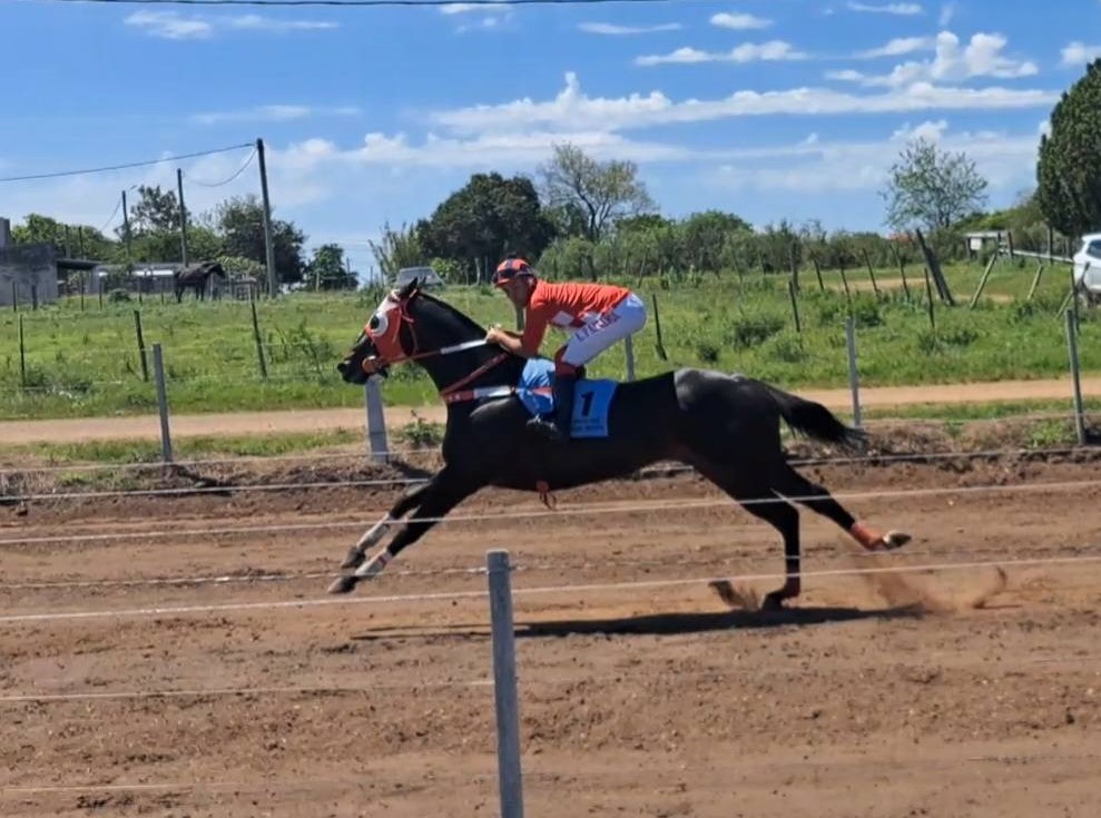 Turf - Última del año:  los ganadores en pista  Barrio Artigas