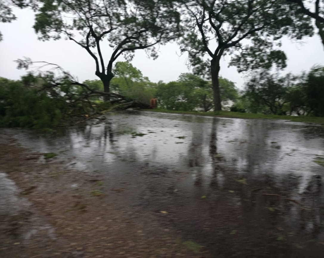 Un fuerte temporal azotó a Salto  con vientos de casi 90 kilómetros