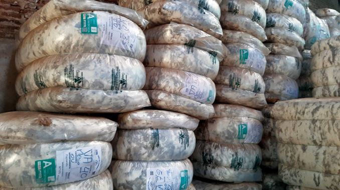 El IME cerró el 2025 a US$ 10,21, con 39% de aumento en el año