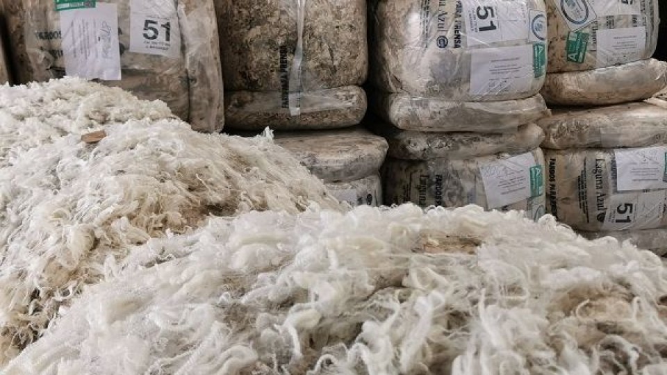 Sigue movido el mercado de las lanas finas en el país