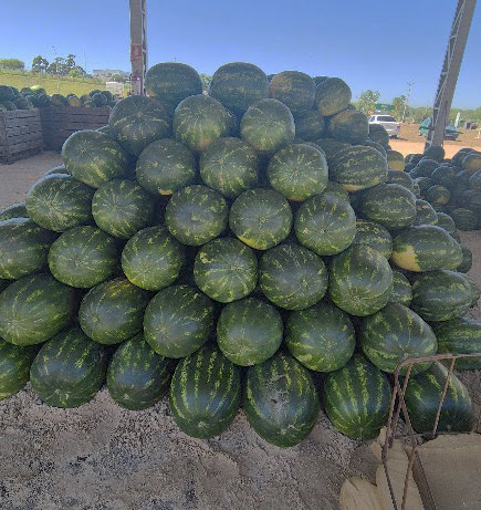 La semana granjera fue marcada por una amplia oferta y ajuste  en los precios de la UAM