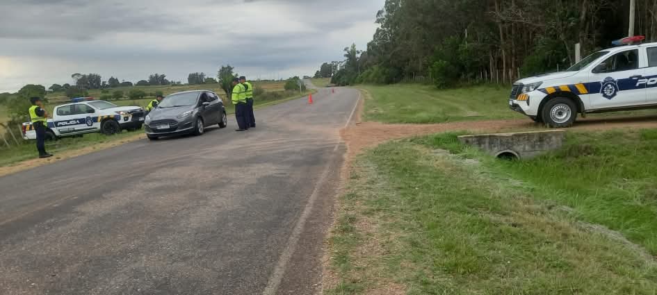 Endurecen controles y sanciones por animales sueltos en rutas