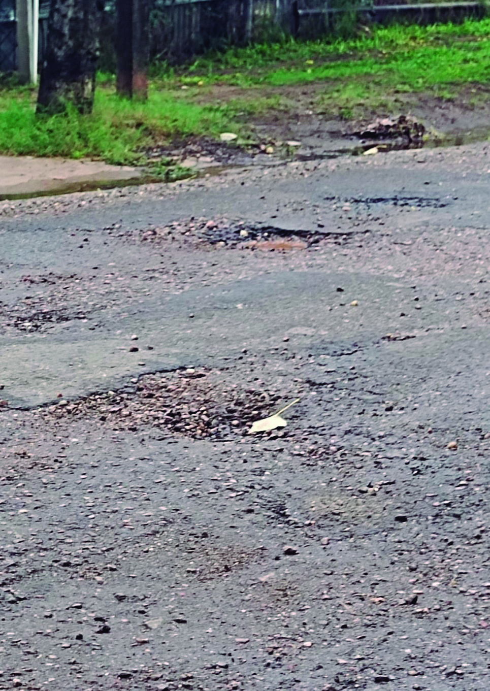 Látidos: asfalto en mal estado, tomates en la vereda y más...