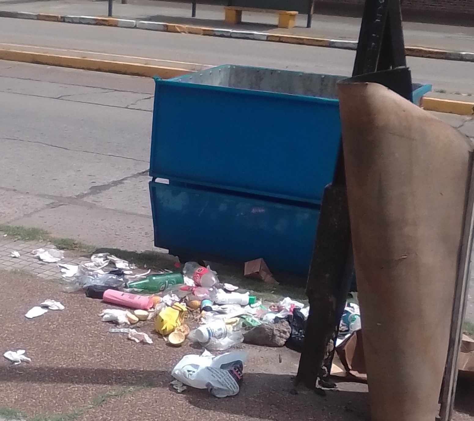 La basura desparramada no solo provoca mal olor, sino que aumenta la proliferación de insectos y roedores. 