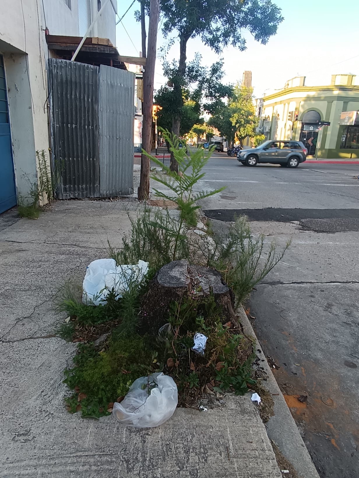Latidos: Desprolijo, Obstrucción de peatones y más...