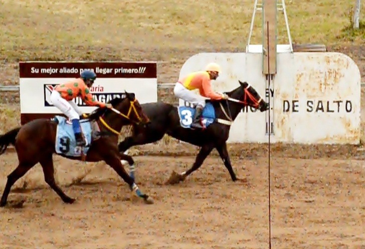 Turf: Hípica salteña: Hipódromo, Hípico del Lago de Belén y pista Barrio Artigas