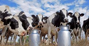 Gremiales lecheras rechazan dichos de Fratti sobre deuda de Venezuela