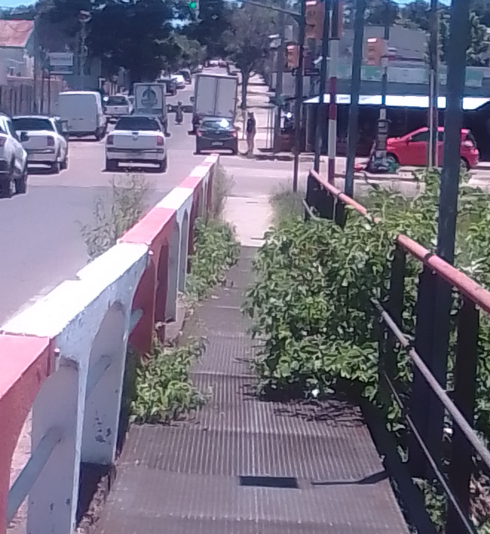 Látidos: Puente inválido, ciclovías transitadas y más...