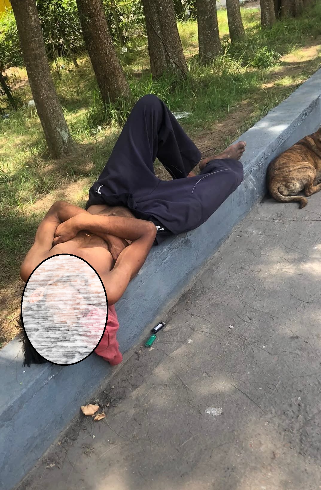 Látidos: Refugio de verano, arriesgados, malos olores y más...