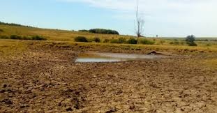 BROU aprobó asistencia a productores afectados por la sequía