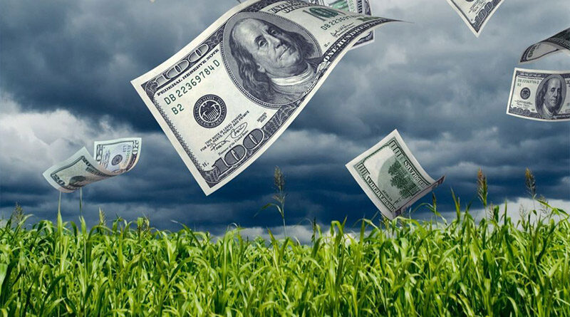 Dólar bajo y costos en alza: El agro exige medidas y el BCU entra en fase expansiva
