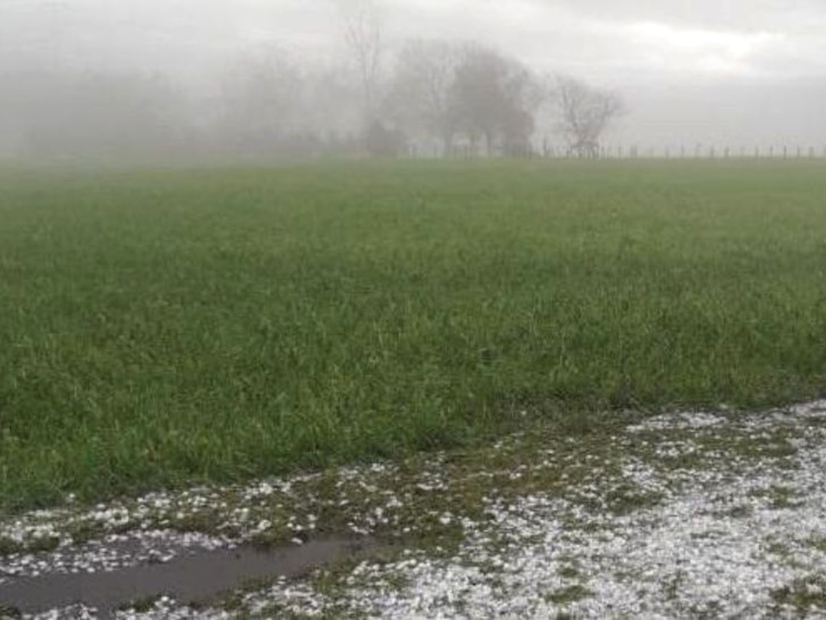 Pueblo Quintana registró 100 mm  en jornada con intensas tormentas