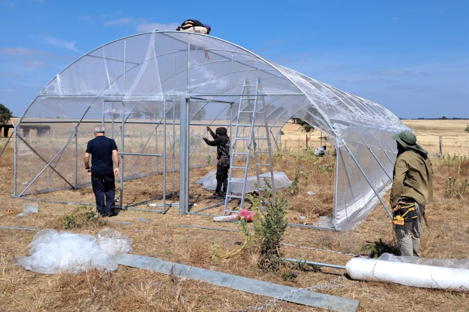 Estudiantes de Veterinaria comenzaron a trabajar en el Programa de Erradicación de la Bichera