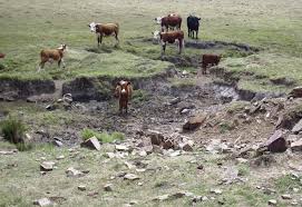 MGAP se reúne esta semana para analizar situación de déficit hídrico